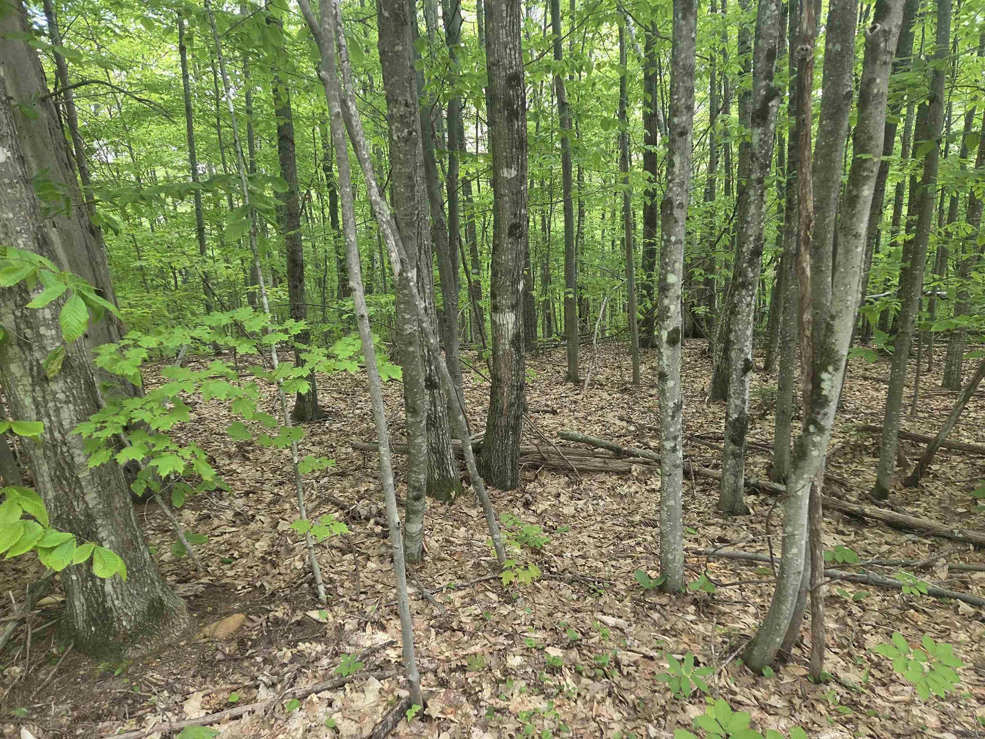 5 Panaway Drive Campton NH 03223