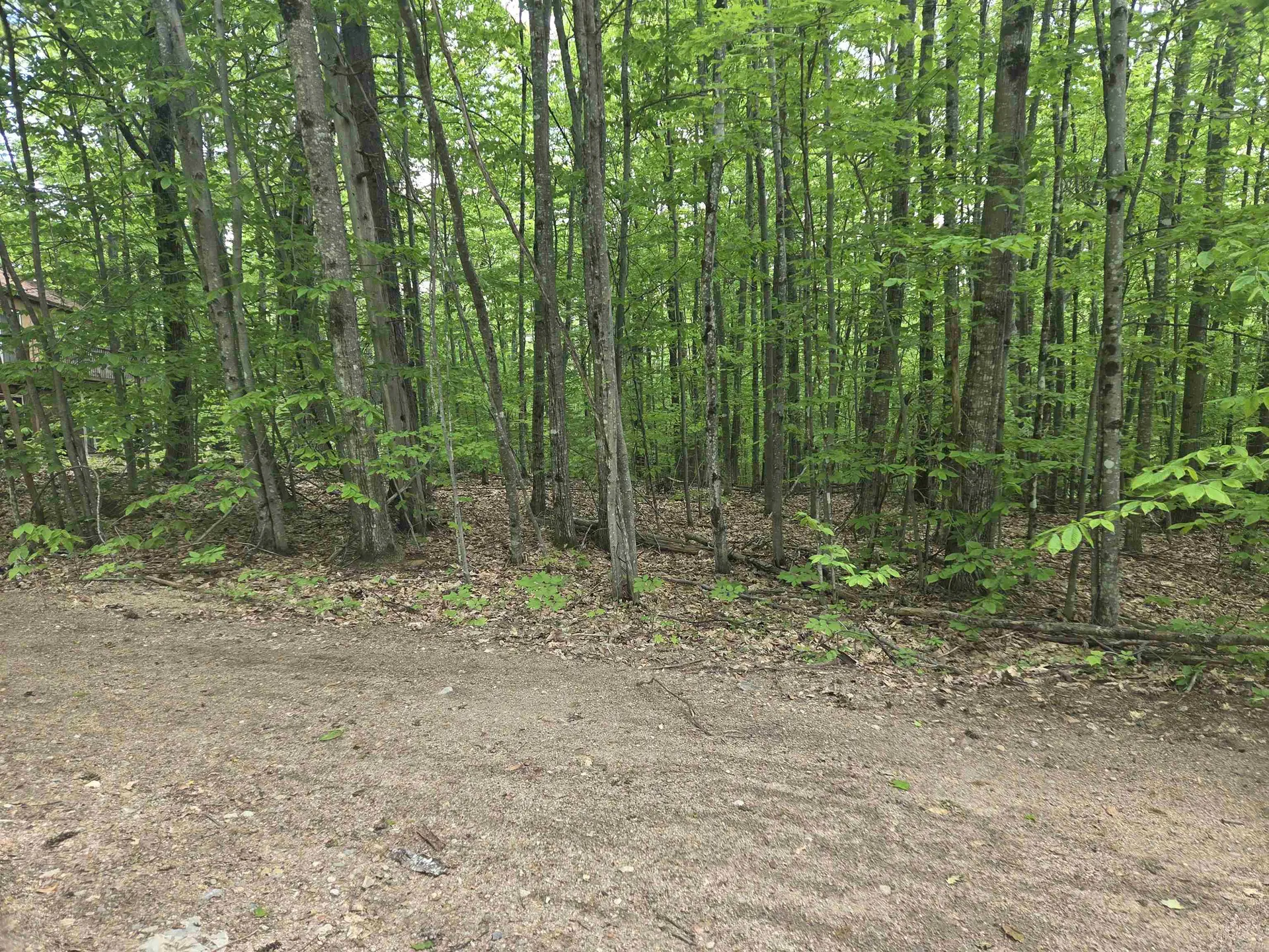 5 Panaway Drive Campton NH 03223