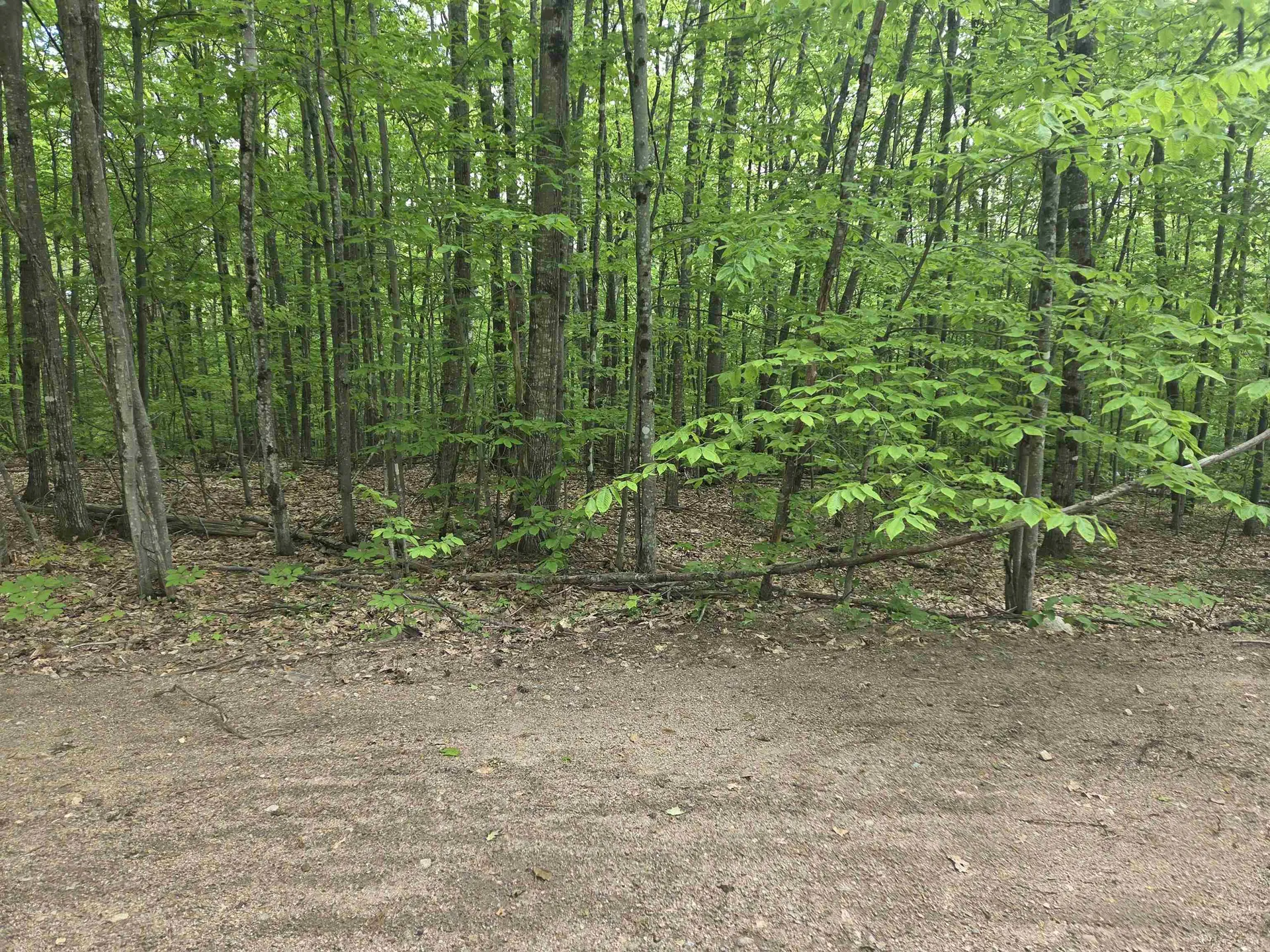 5 Panaway Drive Campton NH 03223