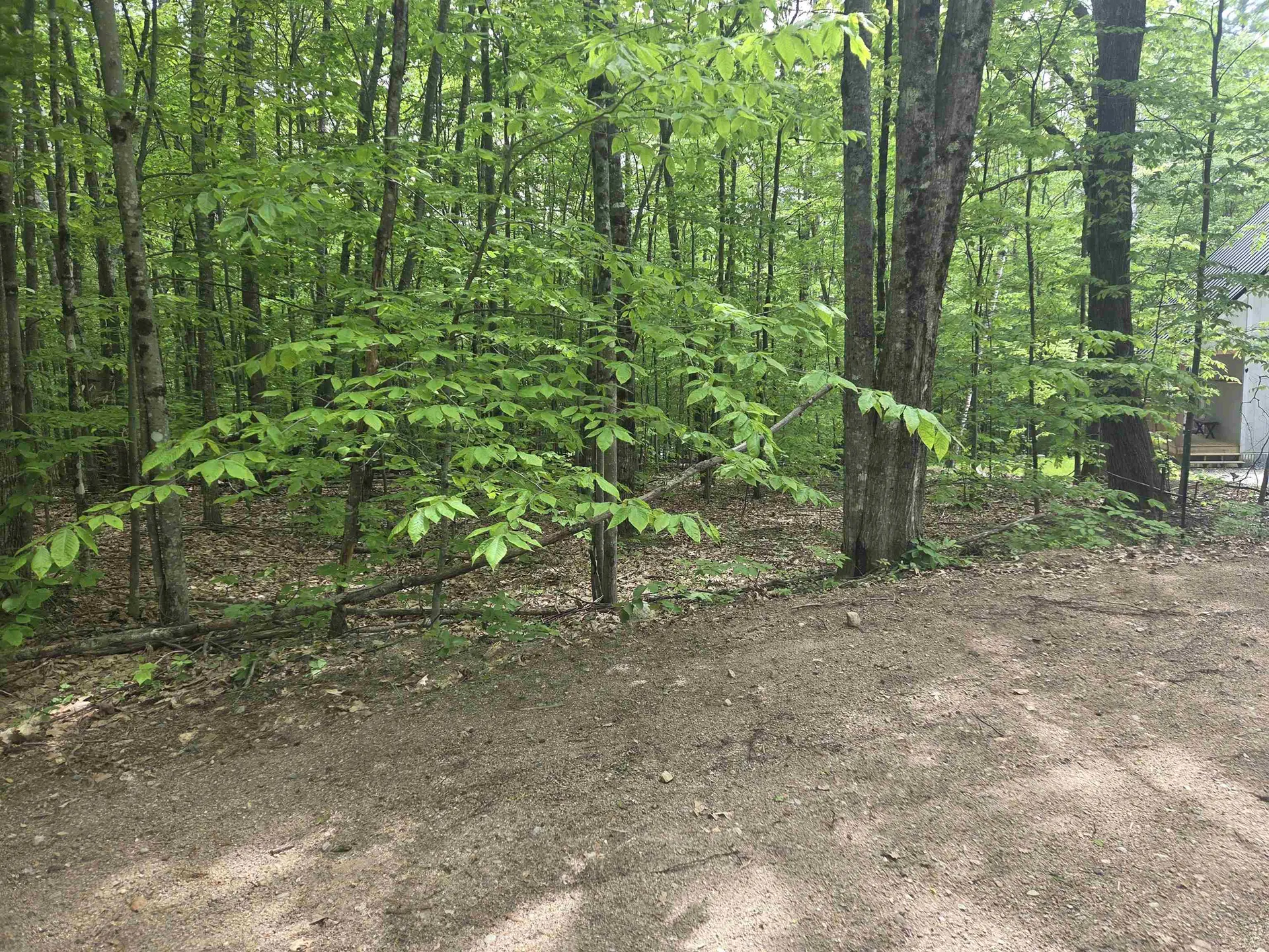 5 Panaway Drive Campton NH 03223