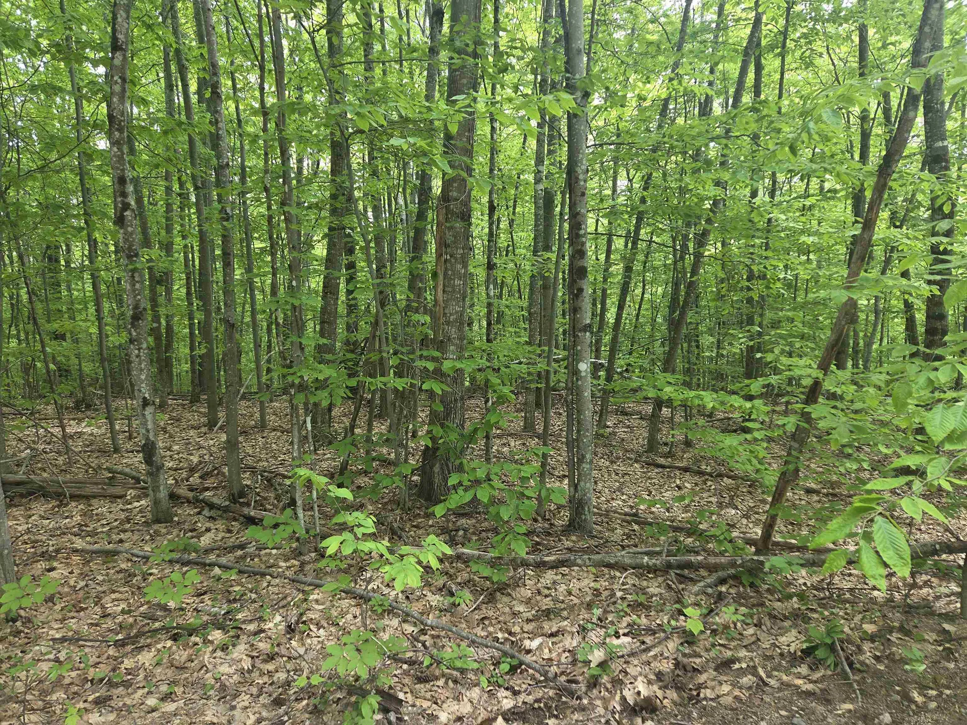 5 Panaway Drive Campton NH 03223