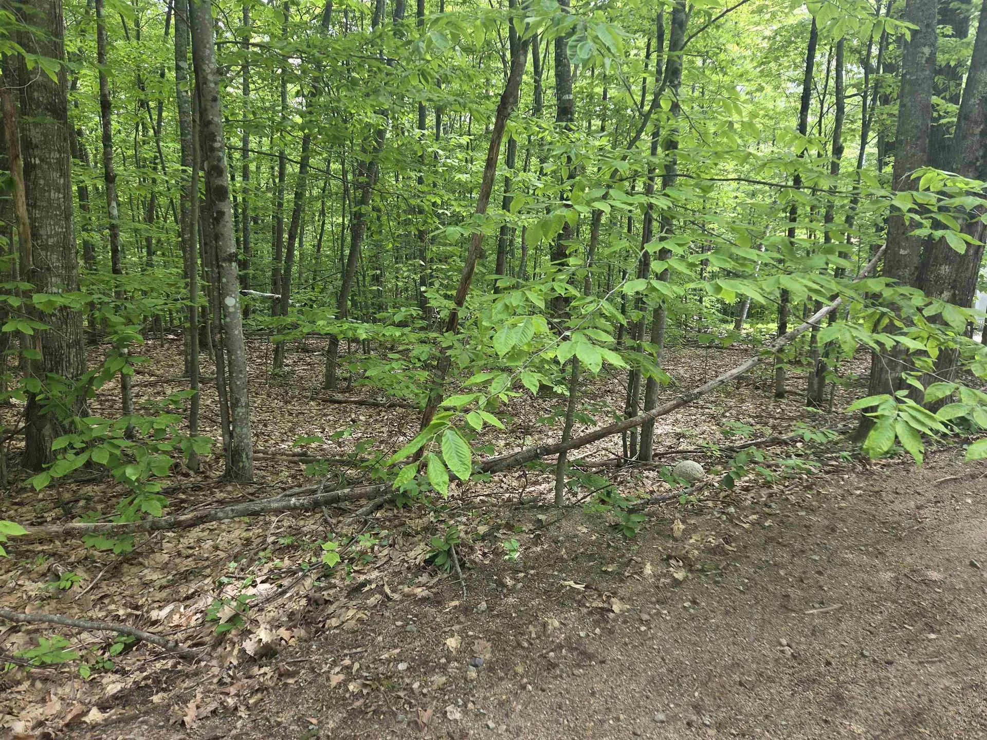 5 Panaway Drive Campton NH 03223