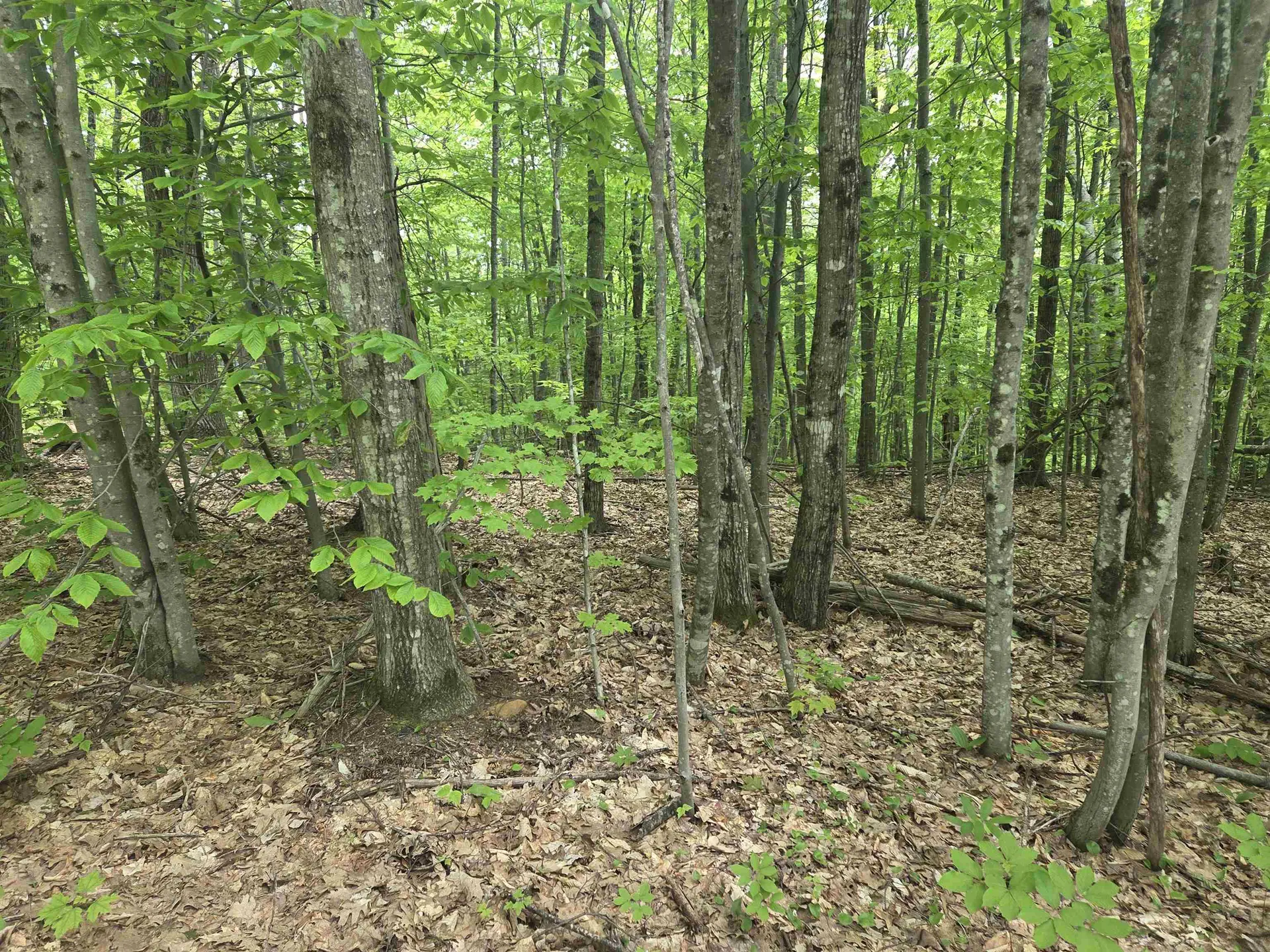 5 Panaway Drive Campton NH 03223