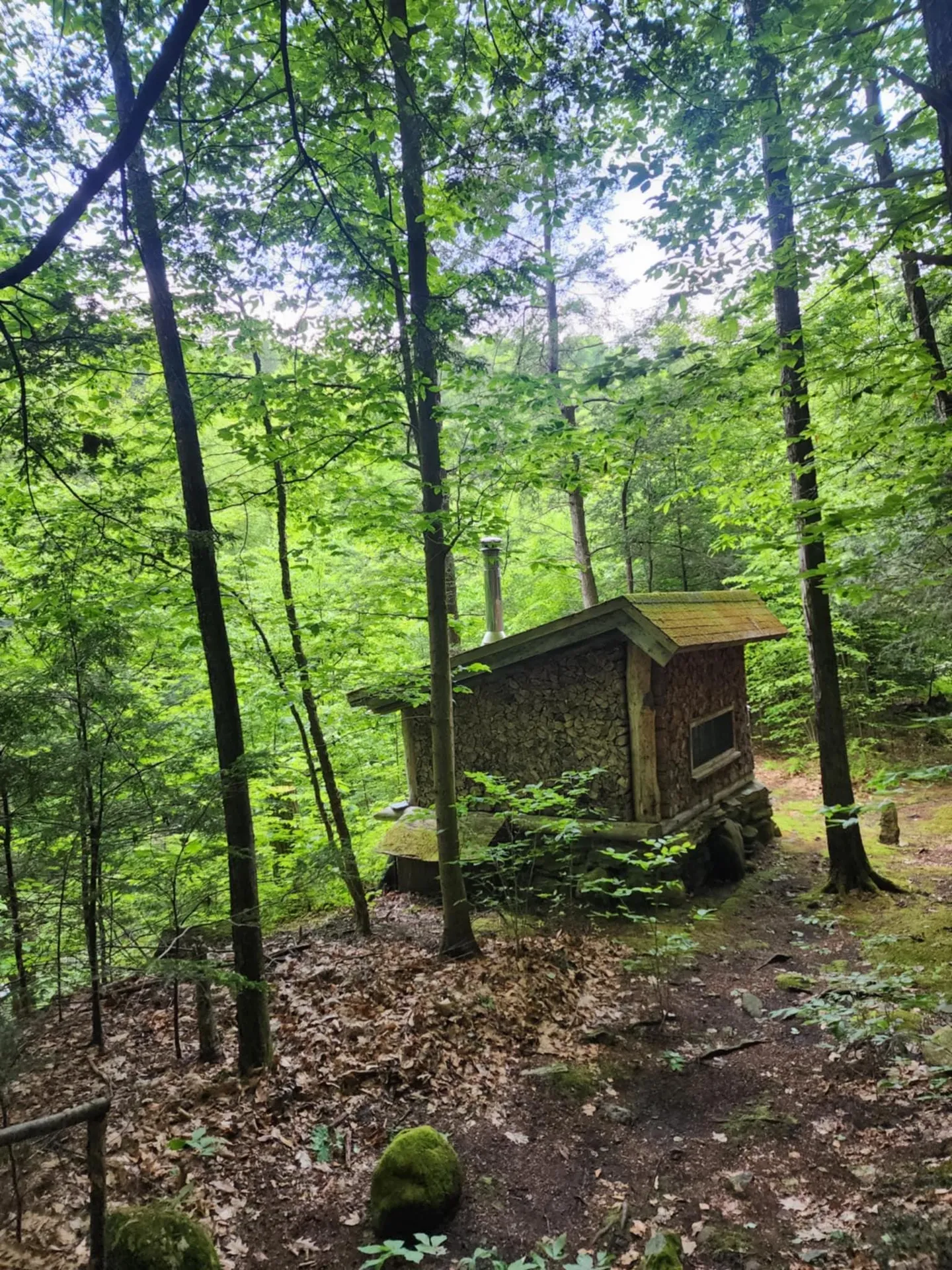 183 Bear Hill Road Dummerston VT 05301