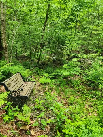 183 Bear Hill Road Dummerston VT 05301