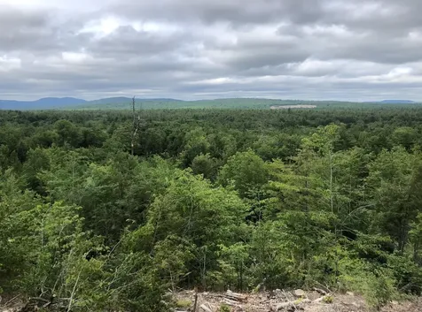 78-5-15 Village Corner Road Wolfeboro NH 03894