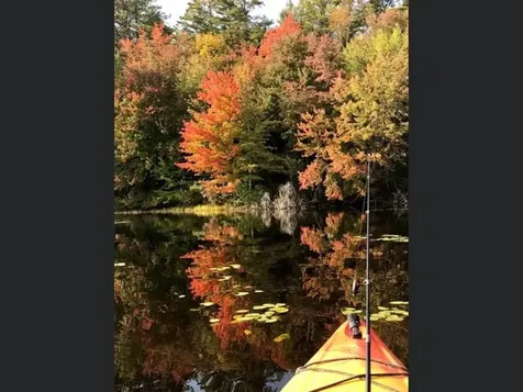 85 South Road Harrisville NH 03450