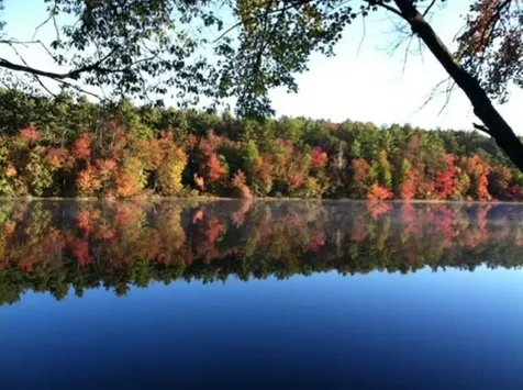 85 South Road Harrisville NH 03450