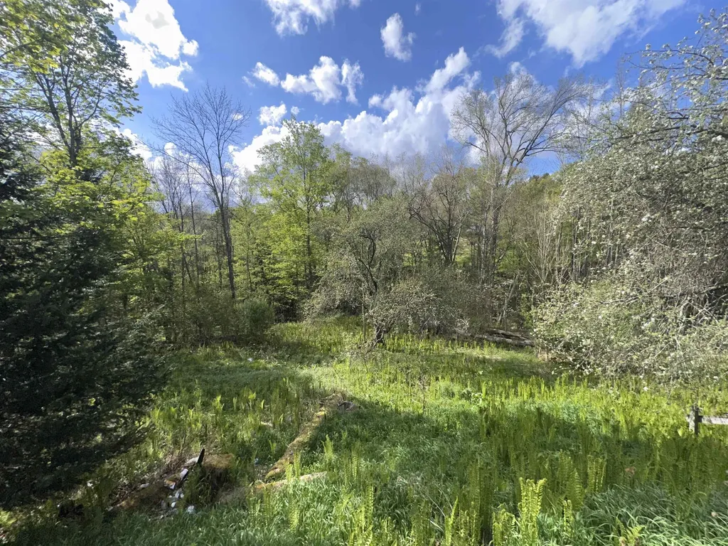 2697 Main Street Cabot VT 05647
