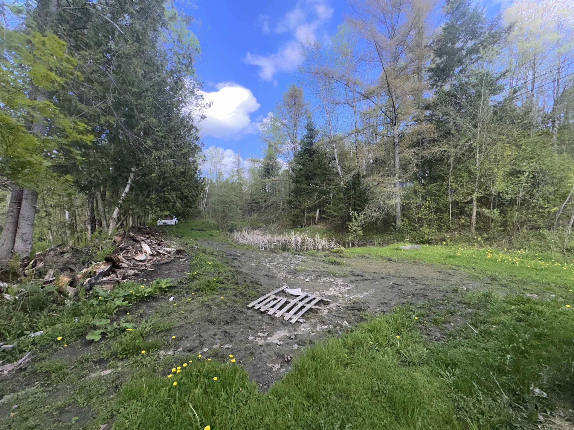 2697 Main Street Cabot VT 05647
