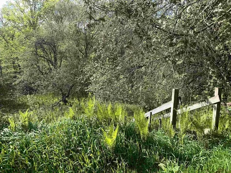 2697 Main Street Cabot VT 05647