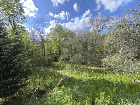 2697 Main Street Cabot VT 05647