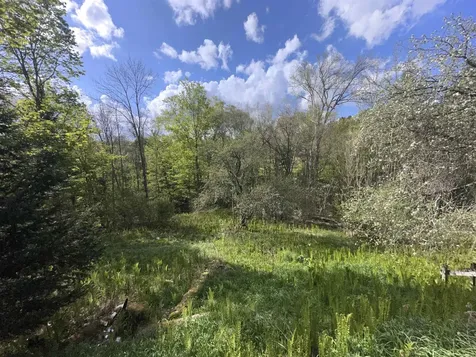 2697 Main Street Cabot VT 05647