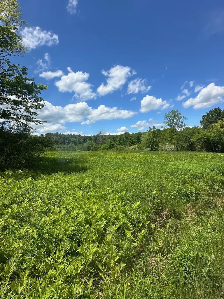 123 Route 5 Westminster VT 05158