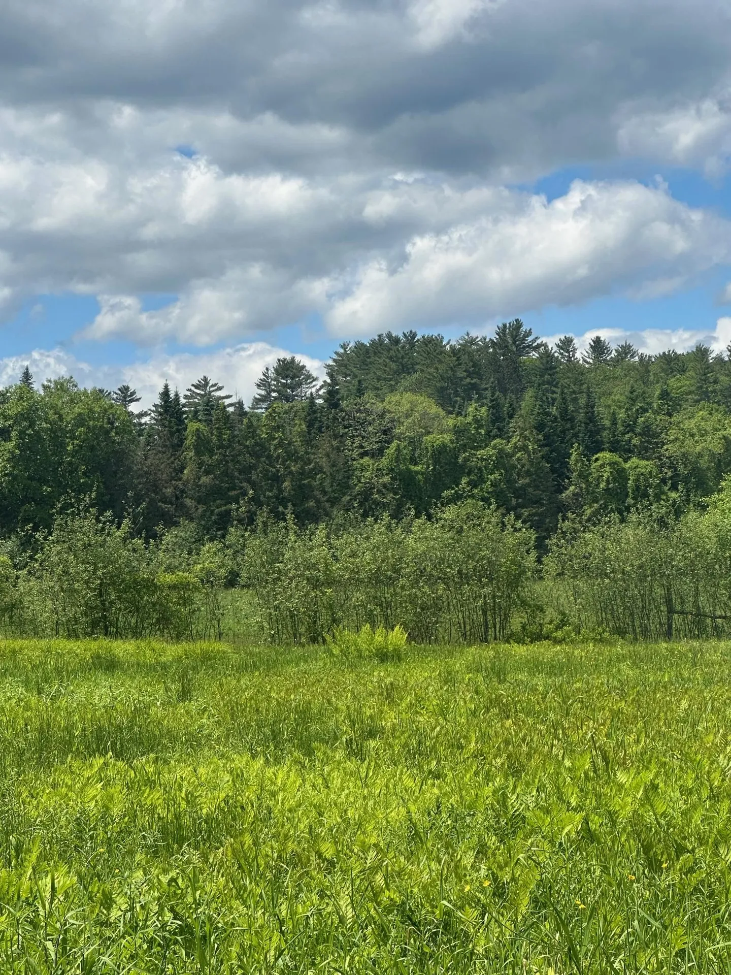 123 Route 5 Westminster VT 05158