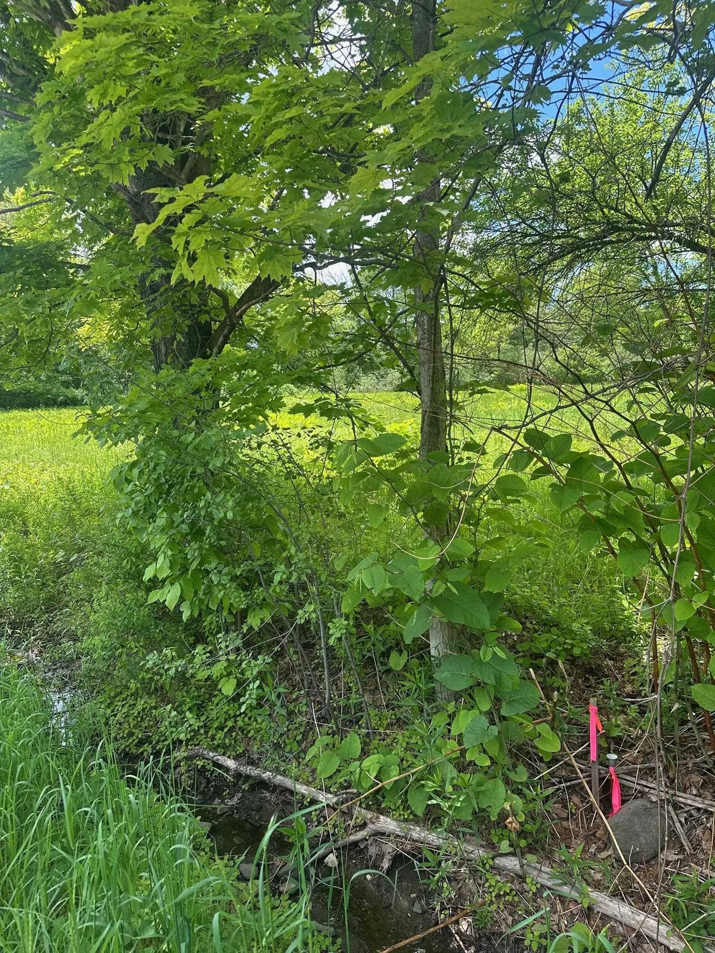 123 Route 5 Westminster VT 05158