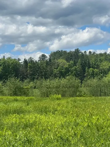 123 Route 5 Westminster VT 05158
