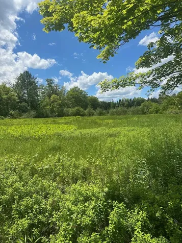 123 Route 5 Westminster VT 05158