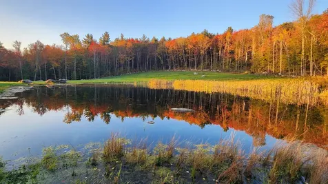 248 Gird Lot Road Weathersfield VT 05151