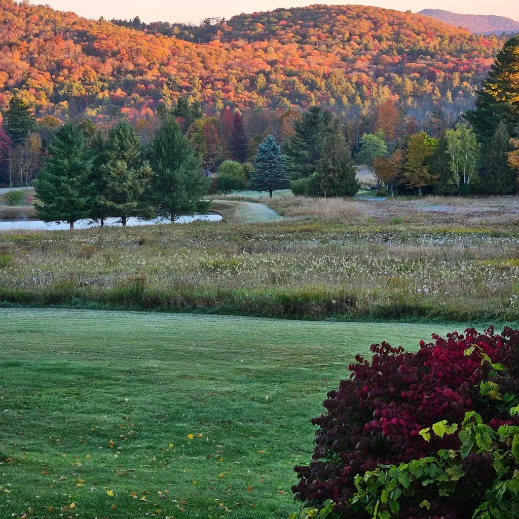 653 Maranville Road Wallingford VT 05773