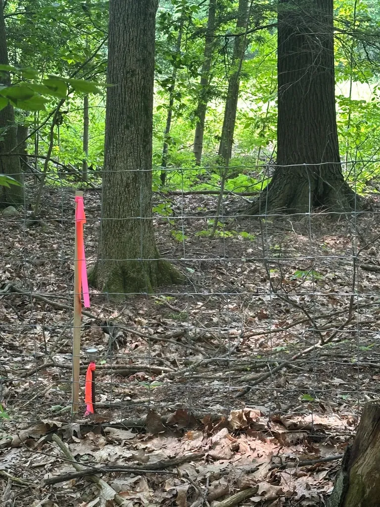 123 Route 5 Westminster VT 05158