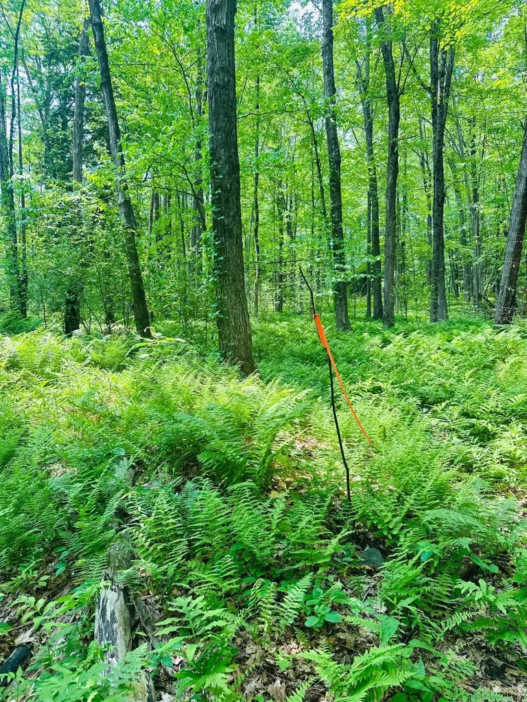 123 Route 5 Westminster VT 05158