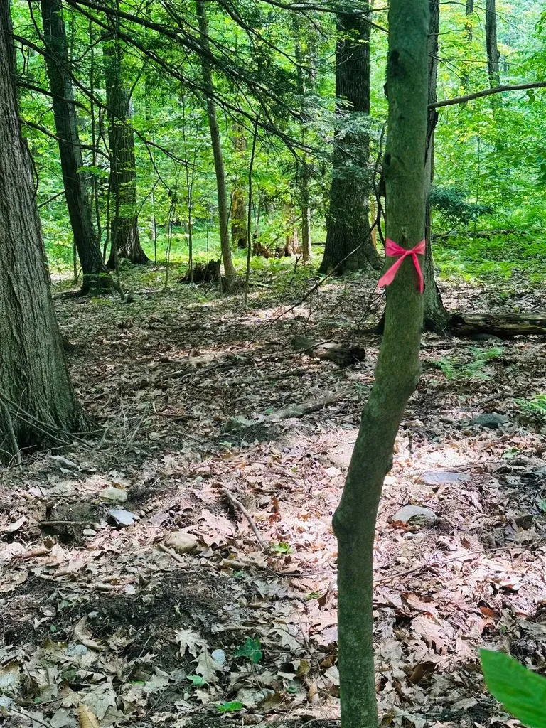 123 Route 5 Westminster VT 05158