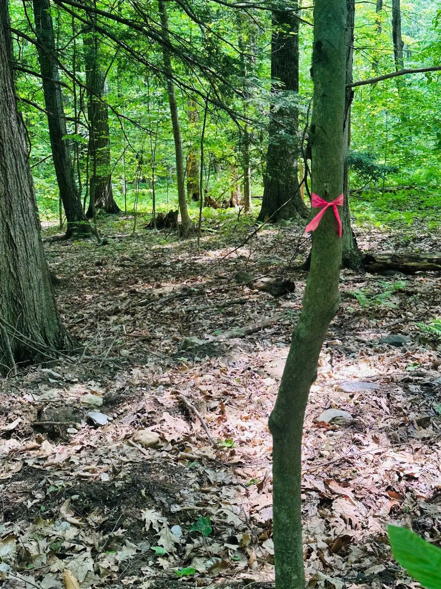 123 Route 5 Westminster VT 05158