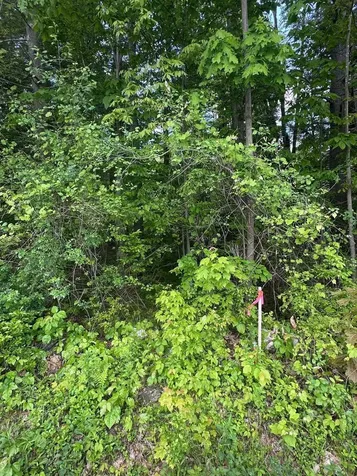 123 Route 5 Westminster VT 05158