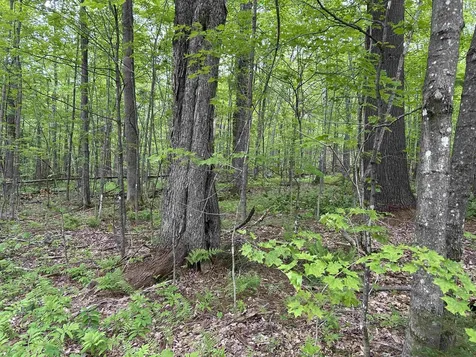 2475 Little Hollow Road Rochester VT 05060