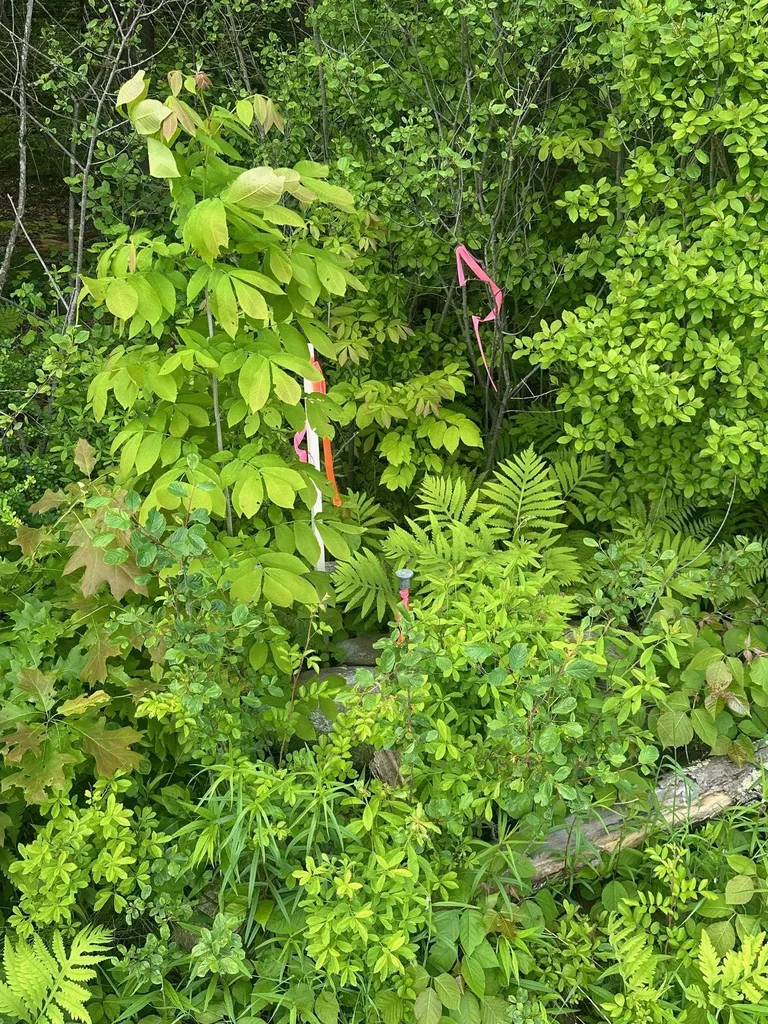 123 Route 5 Westminster VT 05158