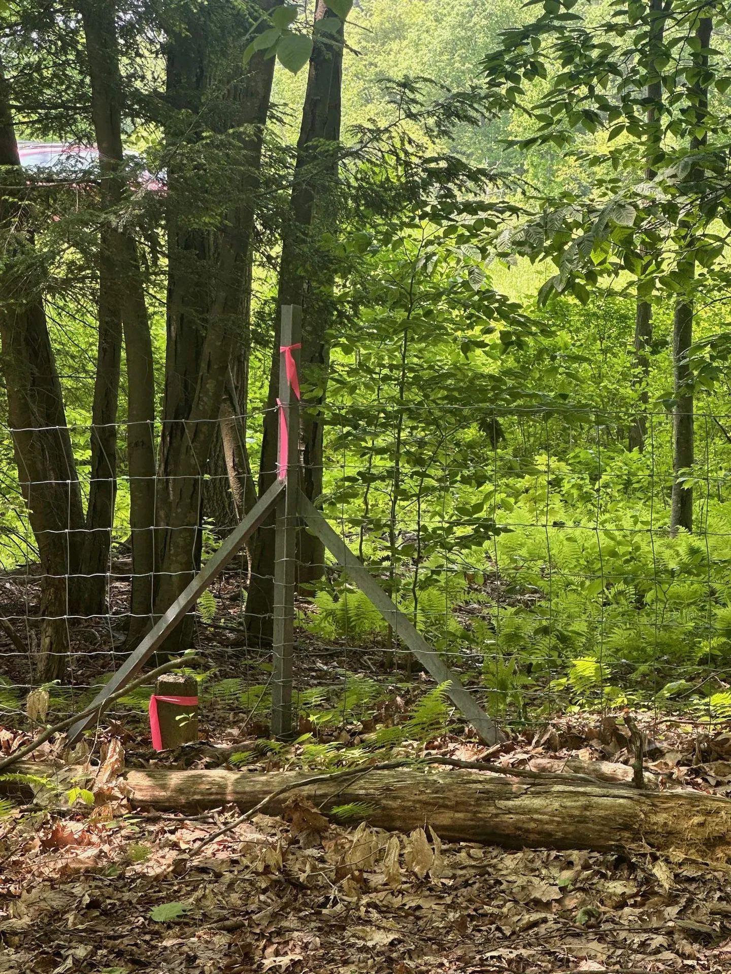 123 Route 5 Westminster VT 05158