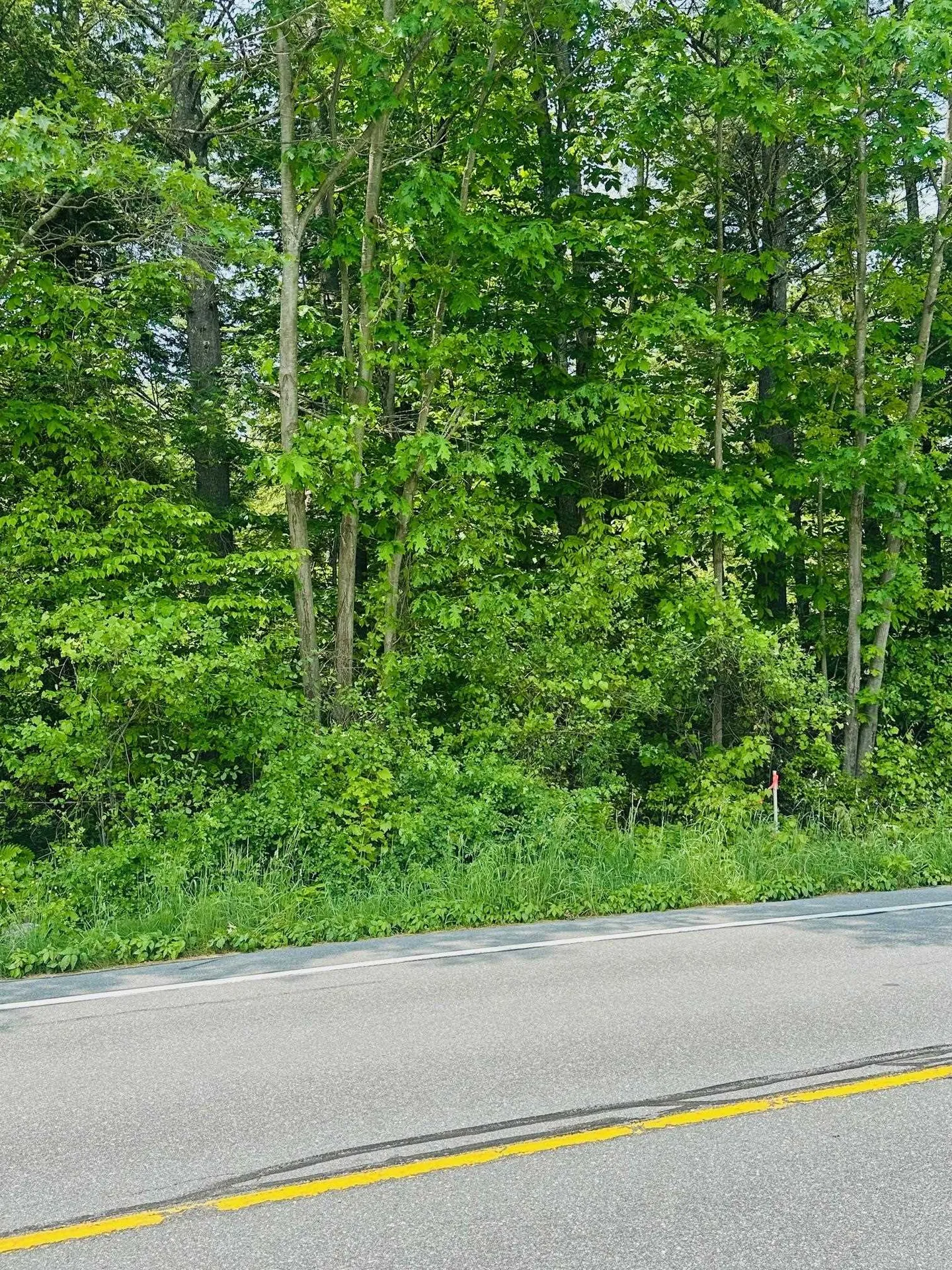 123 Route 5 Westminster VT 05158