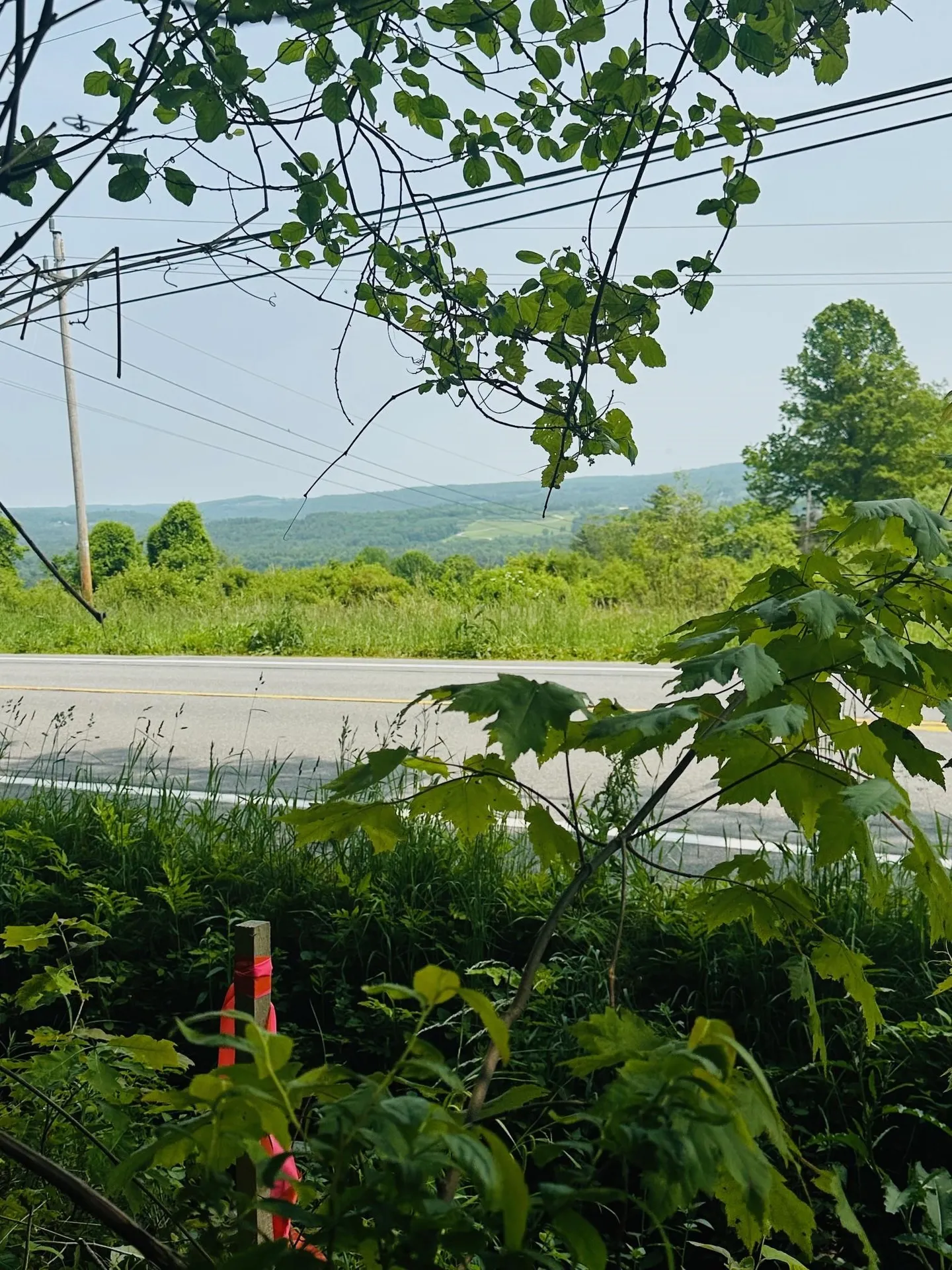 123 Route 5 Westminster VT 05158