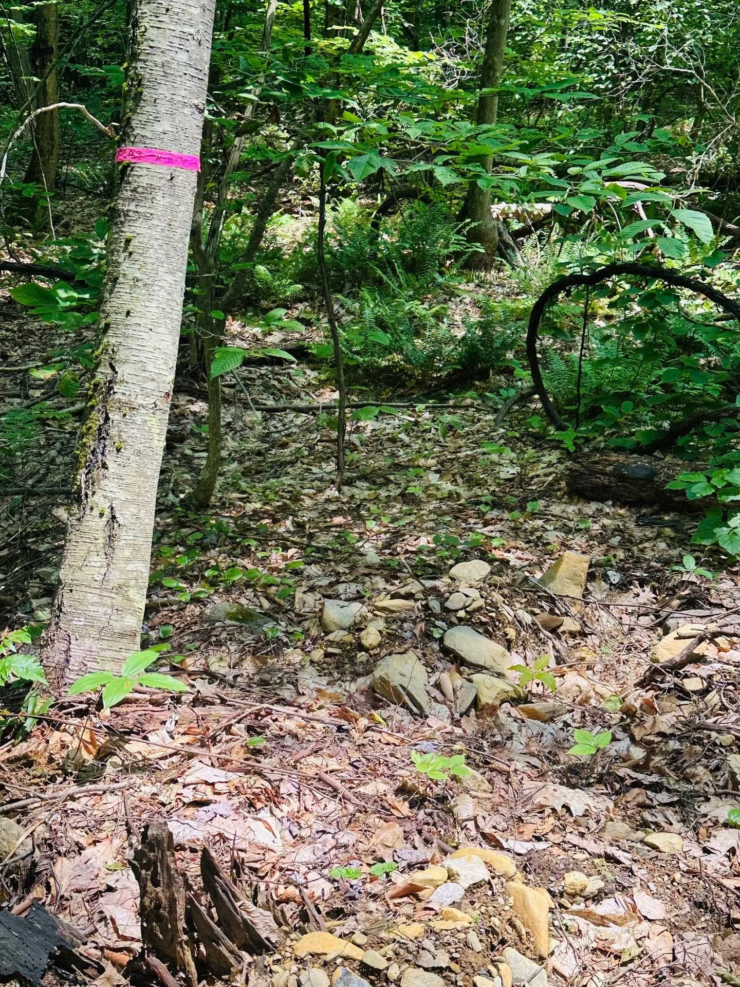 123 Route 5 Westminster VT 05158