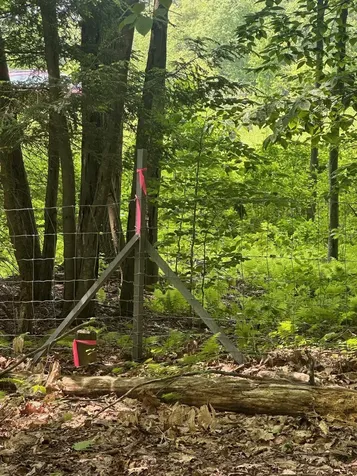 123 Route 5 Westminster VT 05158