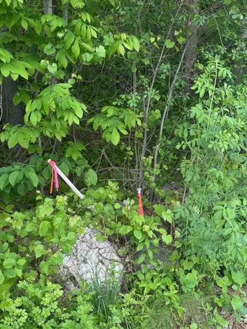 123 Route 5 Westminster VT 05158