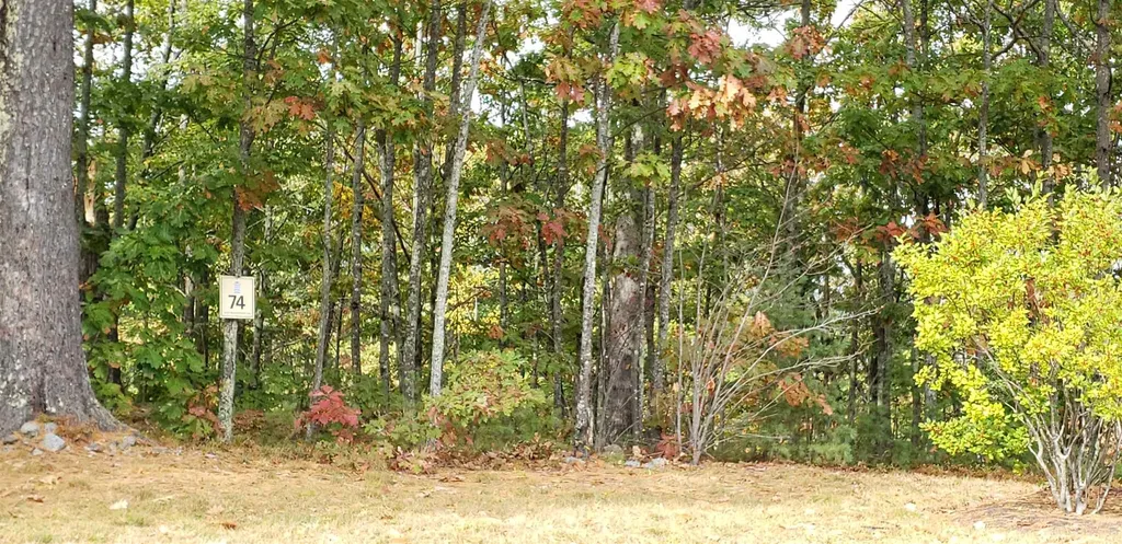 53 Deadreckoning Point Laconia NH 03246