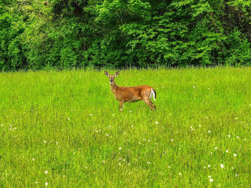 0 French Road Henniker NH 03242