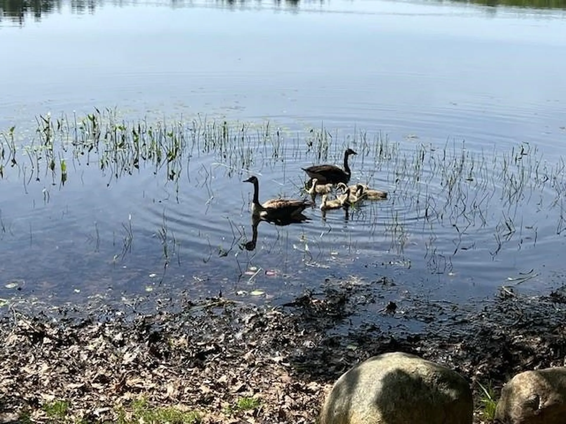 0 French Road Henniker NH 03242