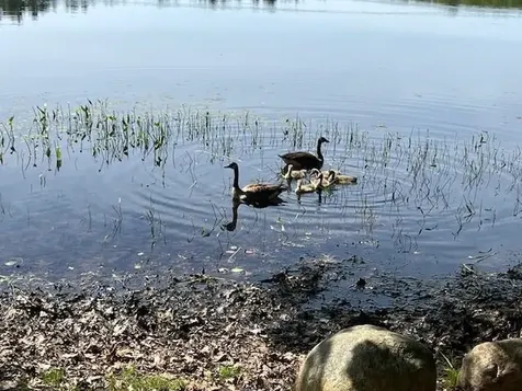 0 French Road Henniker NH 03242