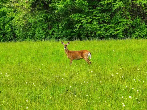 0 French Road Henniker NH 03242
