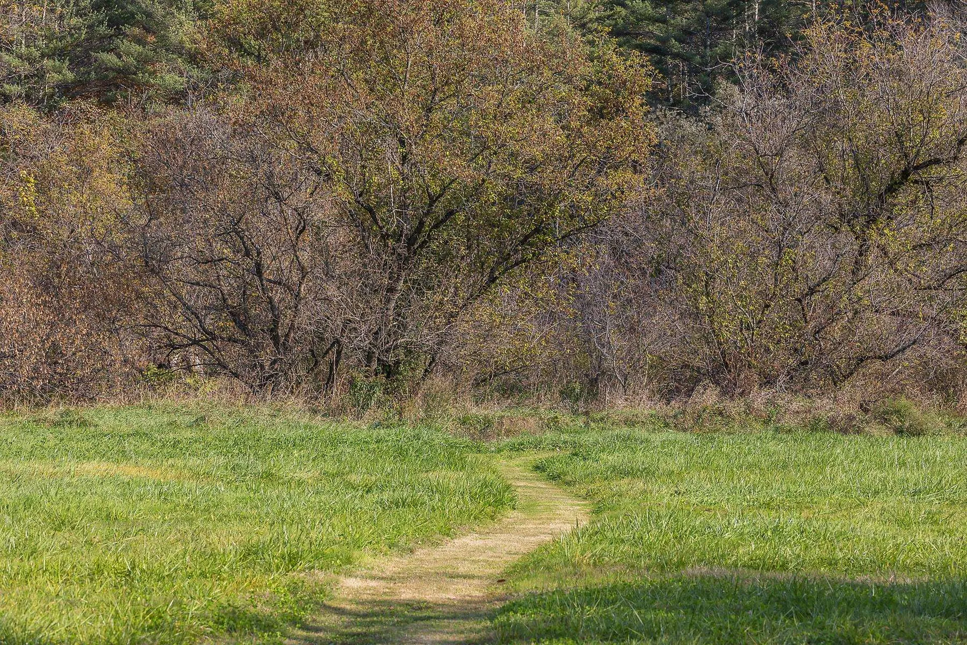 100 Pomfret Road Woodstock VT 05091