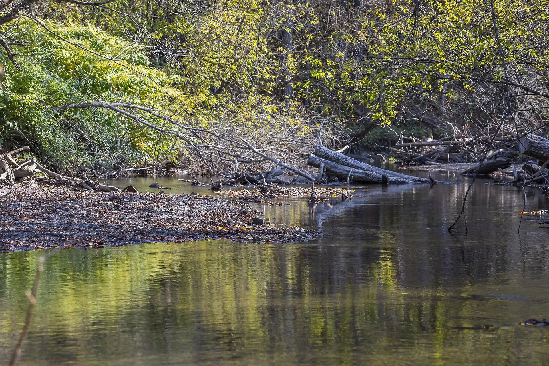 100 Pomfret Road Woodstock VT 05091