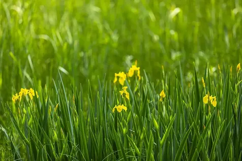 100 Pomfret Road Woodstock VT 05091