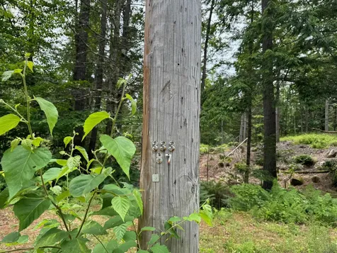 512 Deer Hill Road Tamworth NH 03886