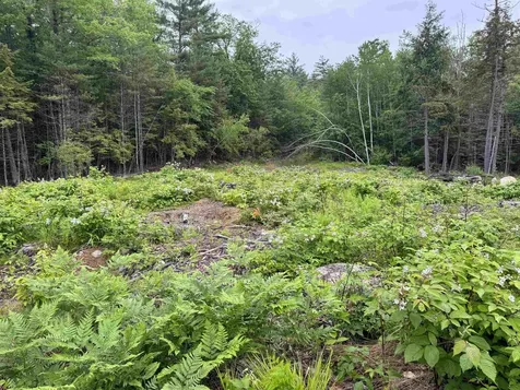 512 Deer Hill Road Tamworth NH 03886