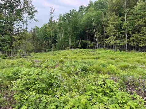 512 Deer Hill Road Tamworth NH 03886