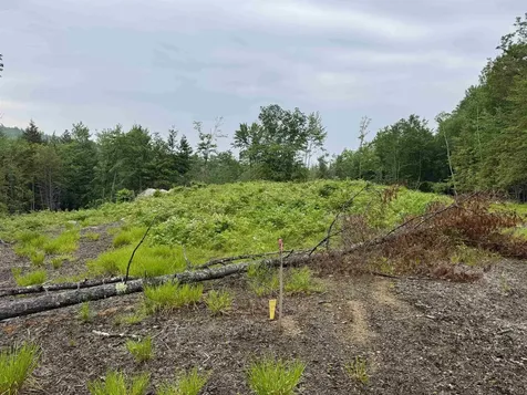 512 Deer Hill Road Tamworth NH 03886