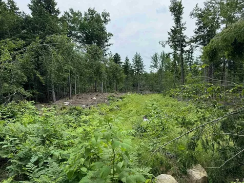 512 Deer Hill Road Tamworth NH 03886